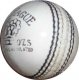 CA Super League White Ball