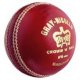 Gray Nicolls WARRIOR Ball