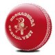 Kookaburra Special Test 2-P Ball