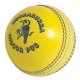 Kookaburra PUG Indoor Ball