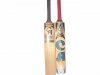 CA Kashmir Willow Bat