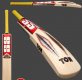 SS Ton Professional Bat