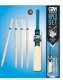 GM APEX TEAM CRICKET SET