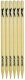 Slazenger Pro Stumps