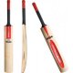 Gray Nicolls GN 100 Force Bat Gray Nicolls GN 100 Force Bat