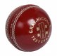 Gray Nicolls TEST SPECIAL Ball