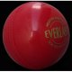 SG Everlast PU Ball