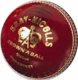 Gray Nicolls Super Test Ball