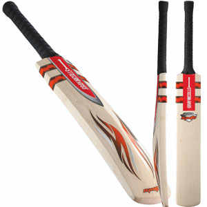 Gray Nicolls Ignite Assasin Bat