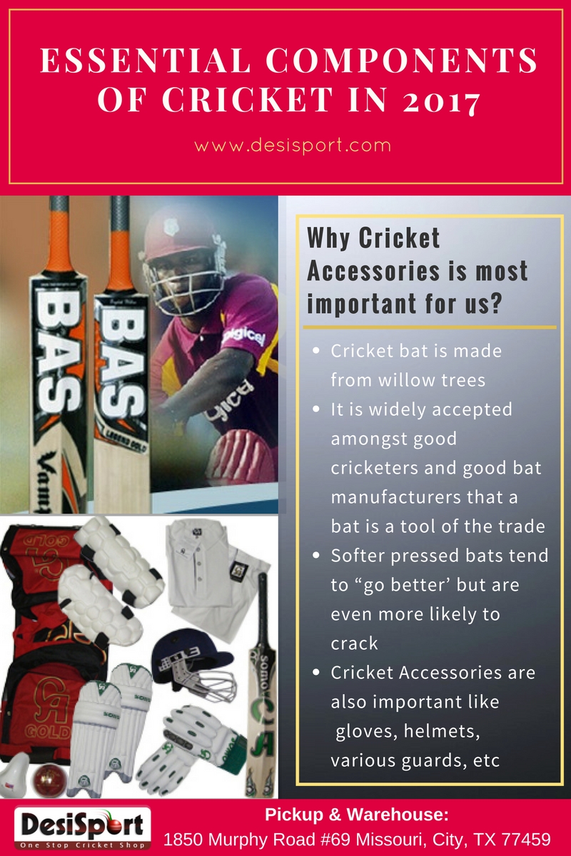 Essential Components of Cricket - Online Cricket Bats